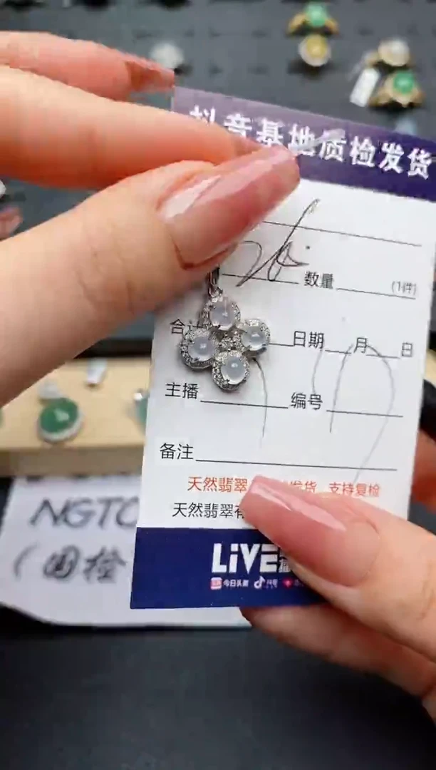 翡翠银S925镶嵌颈饰...........