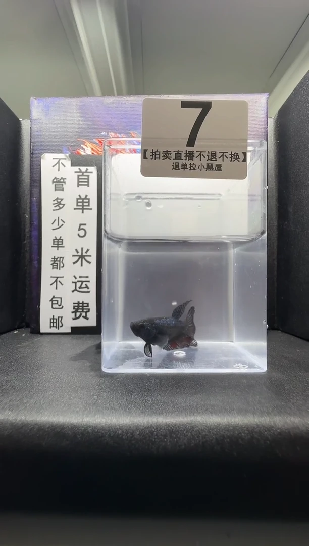 斗鱼母鱼编号：07