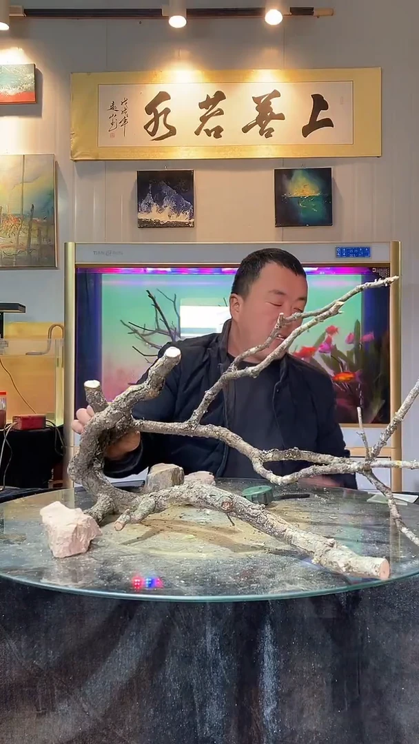 170号天然黄栎木