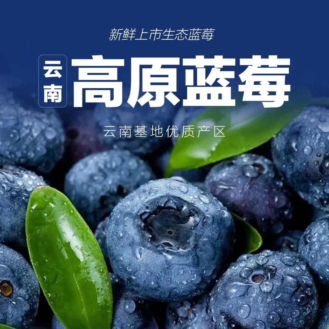 【粉丝福利】云南高原新鲜花香蓝莓现摘现发空运包邮带箱100克/盒