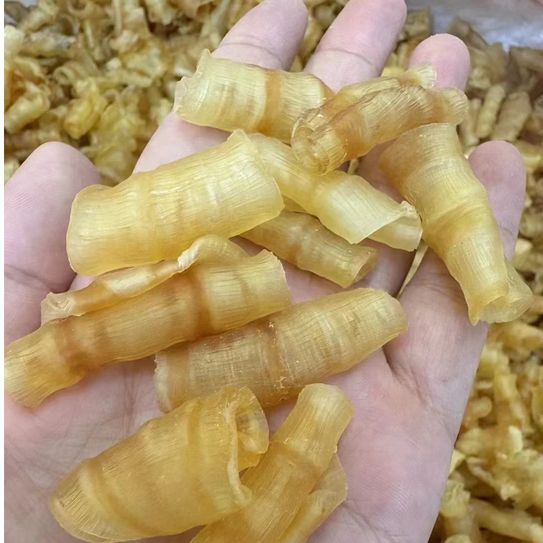 精选凤尾胶250g煲汤煲粥可搭枸杞