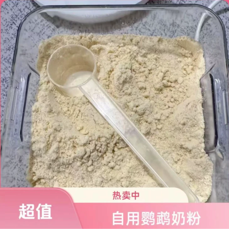 手养鹦鹉必备奶粉自制鹦鹉奶粉