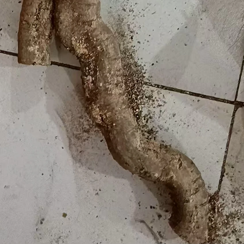 1号小叶山楂山里红野生