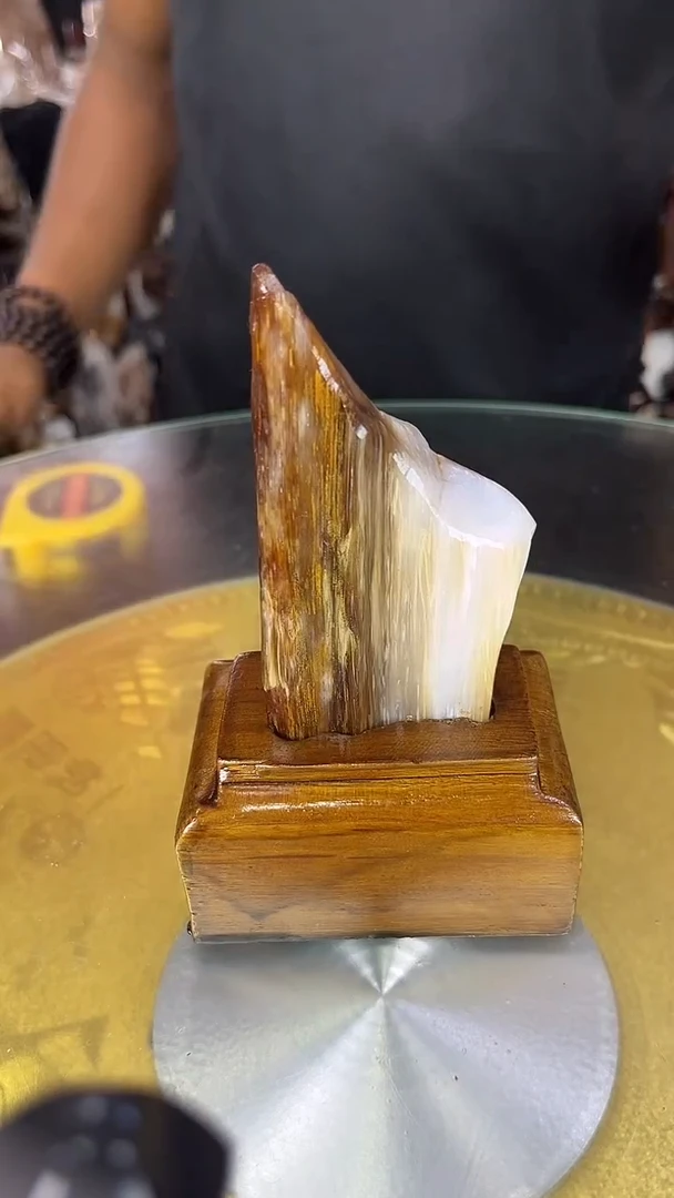 硅化玉珠宝奇石未镶嵌缅甸天然树化玉