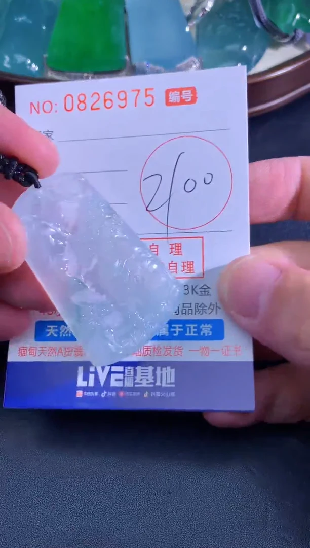颈饰未镶嵌翡翠天然A货翡翠