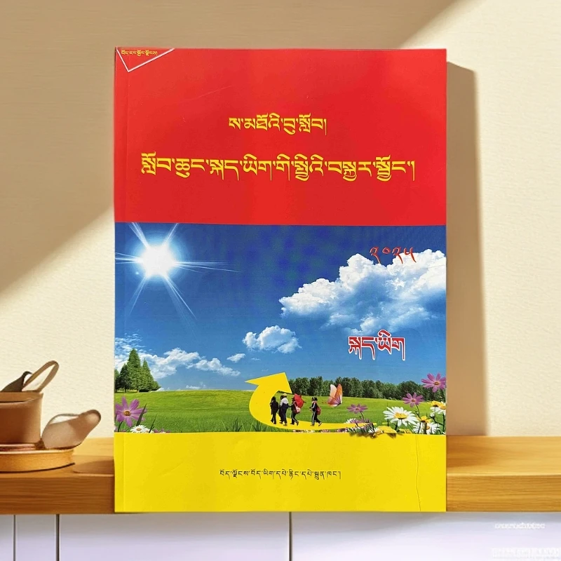 藏语文小升初总复习