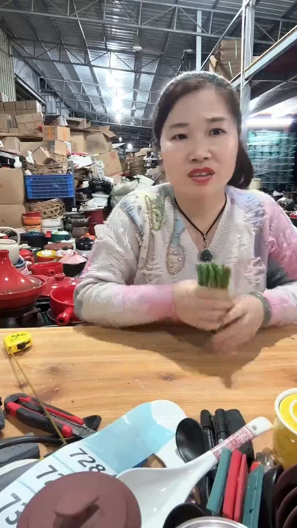 【闪购商品】瑕疵绿色汤勺十个