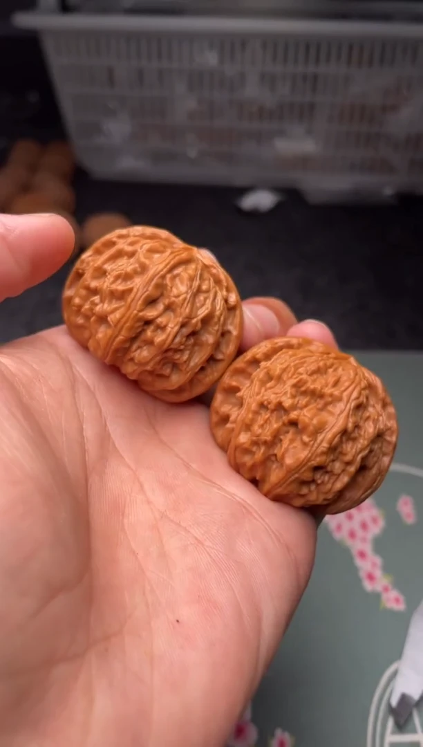 把件文玩核桃a180   白狮子    42尺