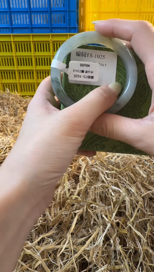 未镶嵌手镯石英质玉1025