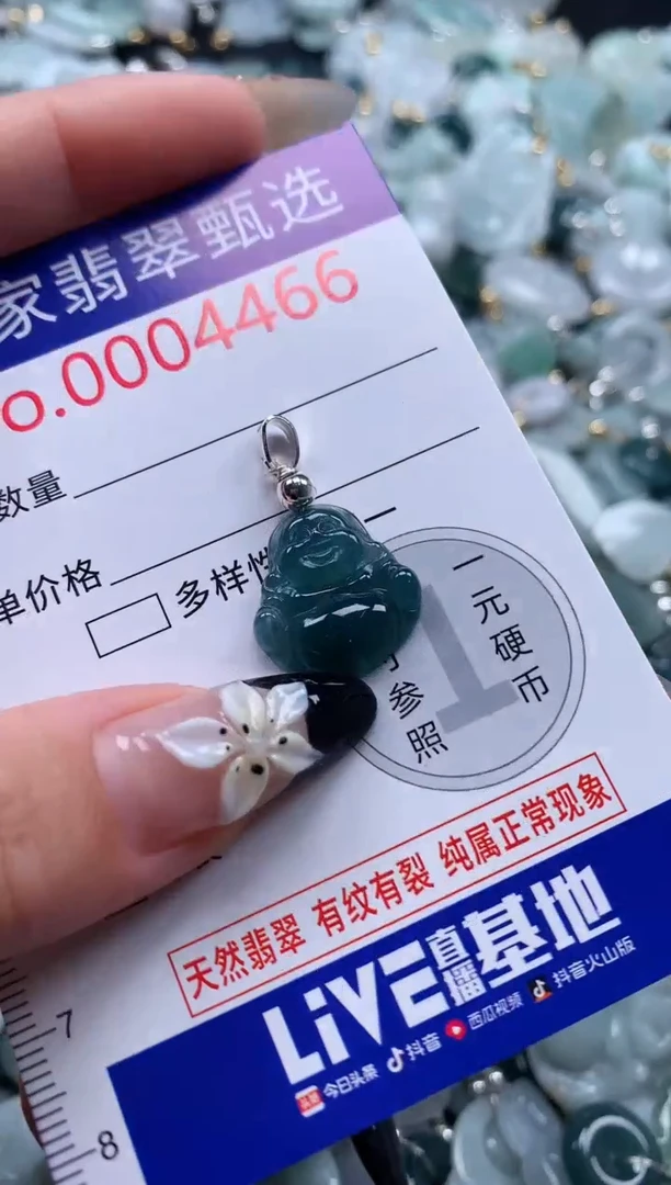 翡翠未镶嵌颈饰4466