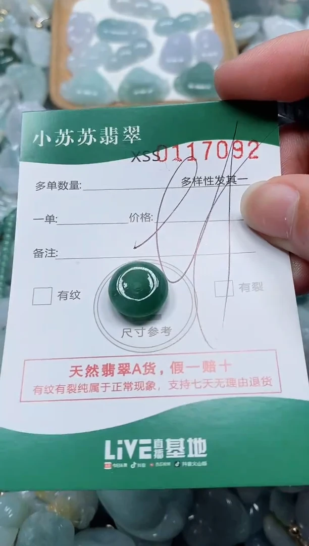 【闪购商品】翡翠颈饰未镶嵌闪购商品0117092