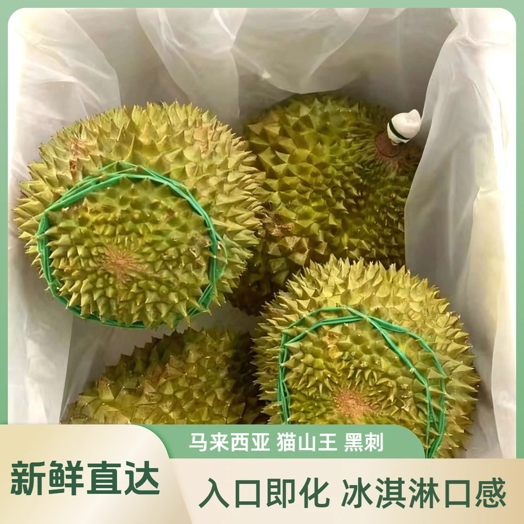 【猫山王黑刺组合】AA级新鲜整果保5房｜2-5斤｜ 核大 核小 回甘微苦猫山王马来西亚