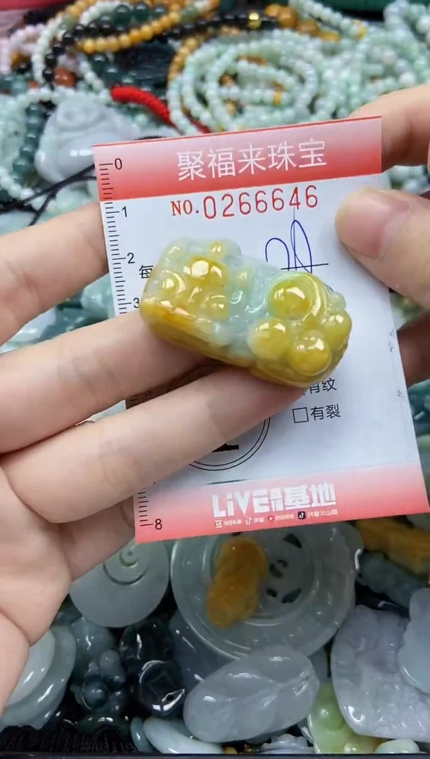 未镶嵌挂件翡翠闪购0266646