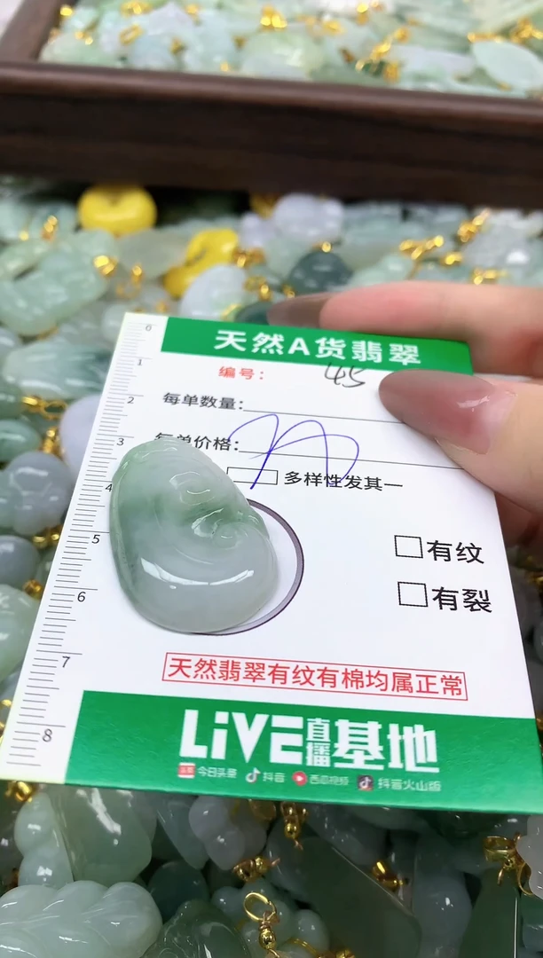 颈饰未镶嵌翡翠纯天然缅甸A货翡翠-45