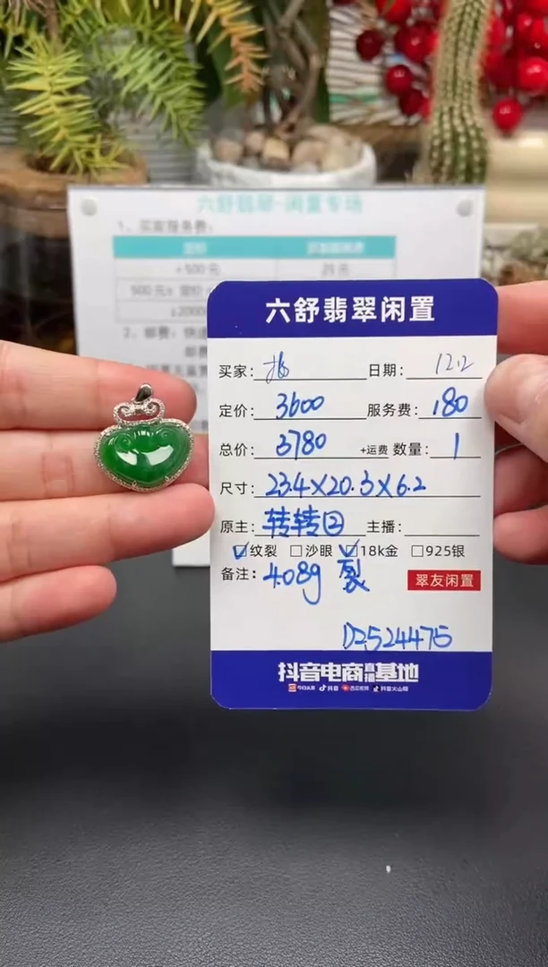 颈饰18K金镶嵌翡翠扎****子D2524475