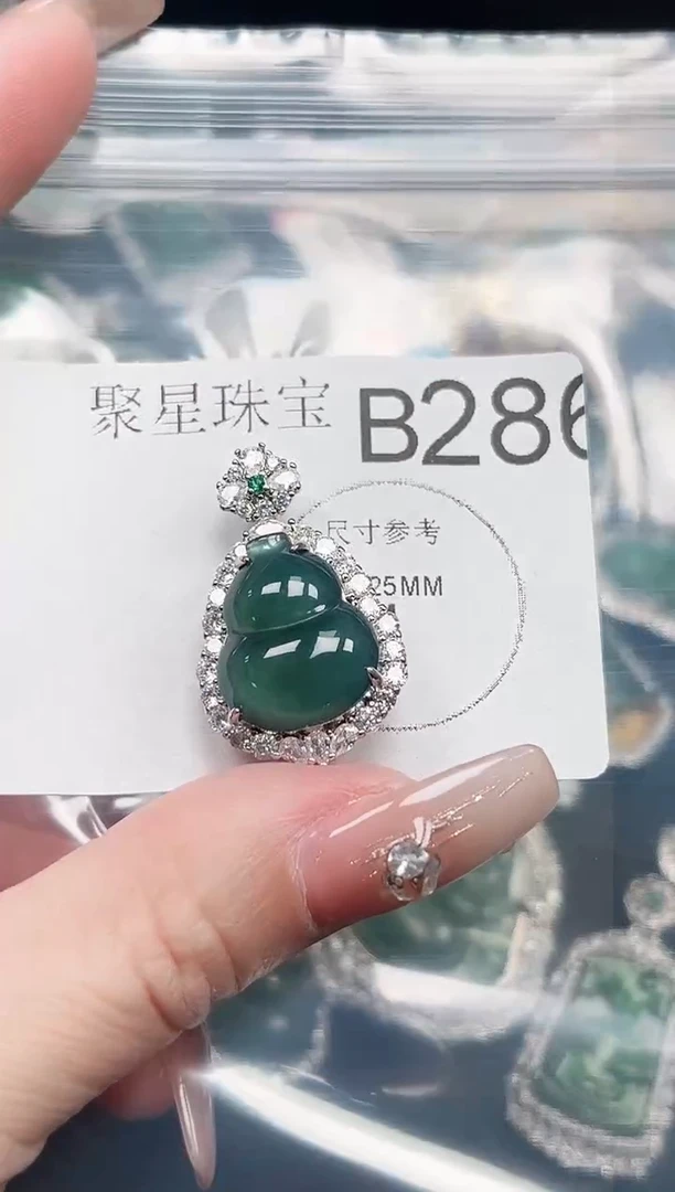 【闪购商品】翡翠颈饰未镶嵌赠皮绳286