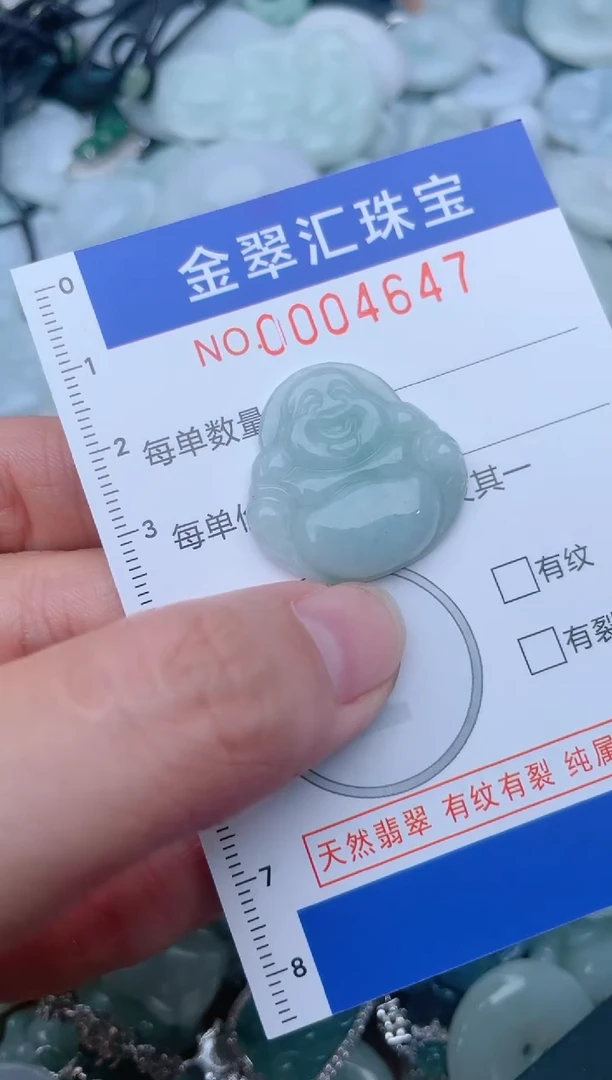 翡翠未镶嵌颈饰4647.....