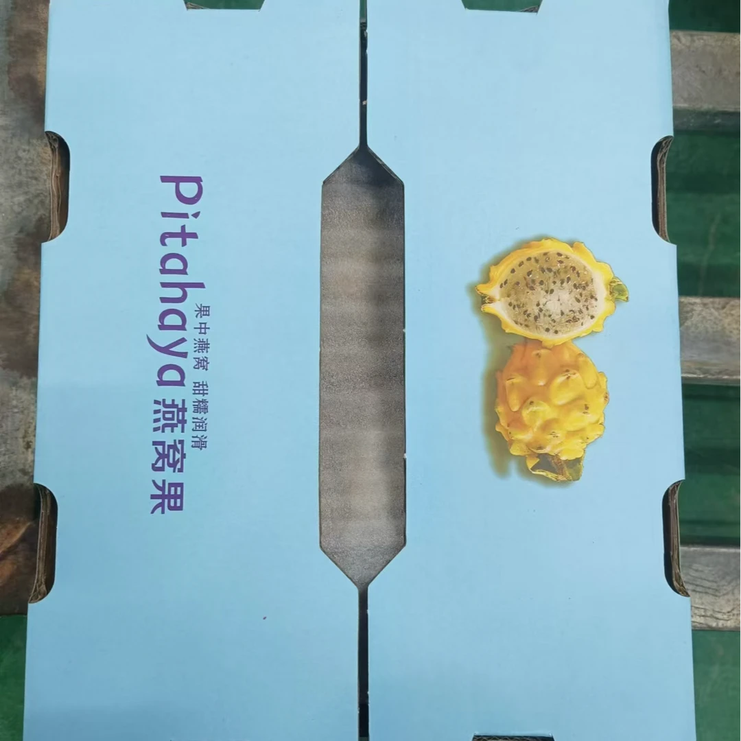 新鲜现摘广西燕窝果2-3斤礼盒装