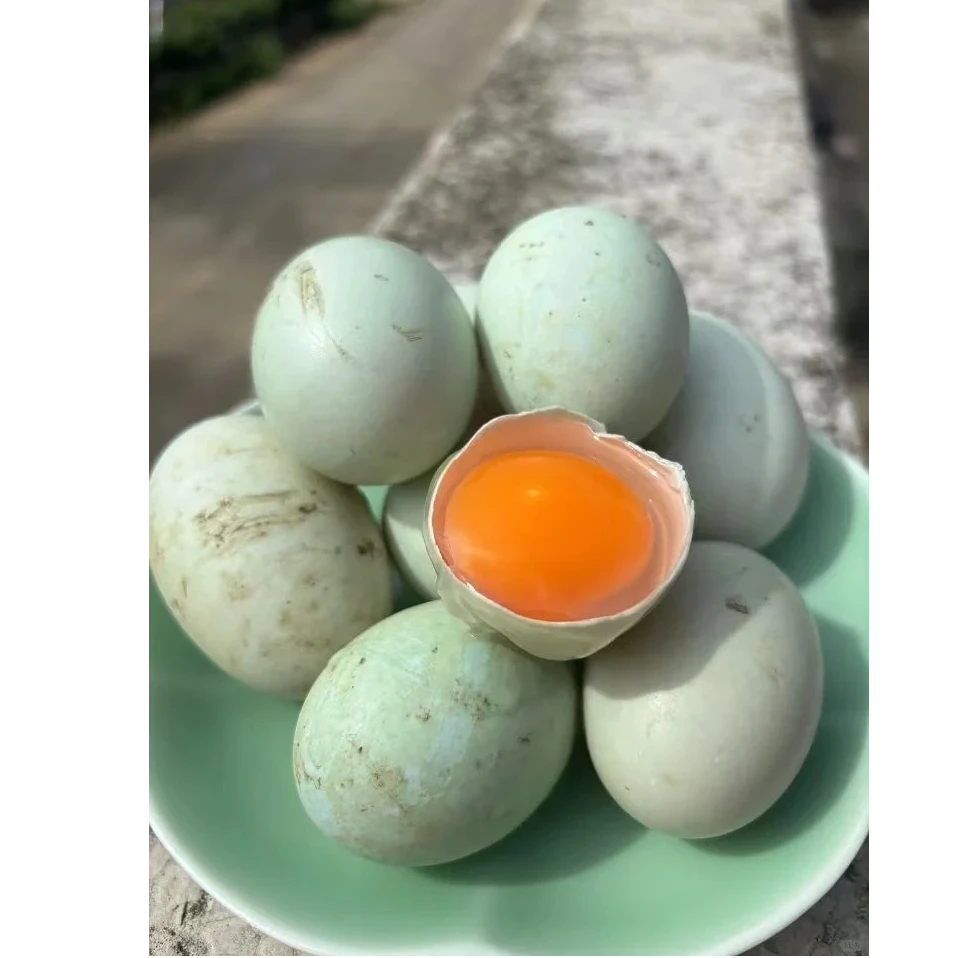 6号农村正宗散养鸭蛋纯粮食喂养