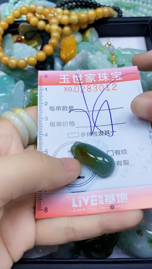翡翠未镶嵌颈饰闪购0283012