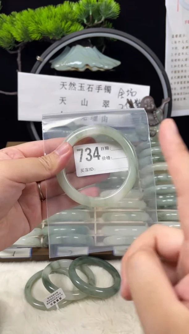 未镶嵌手镯石英质玉（天山翠）734
