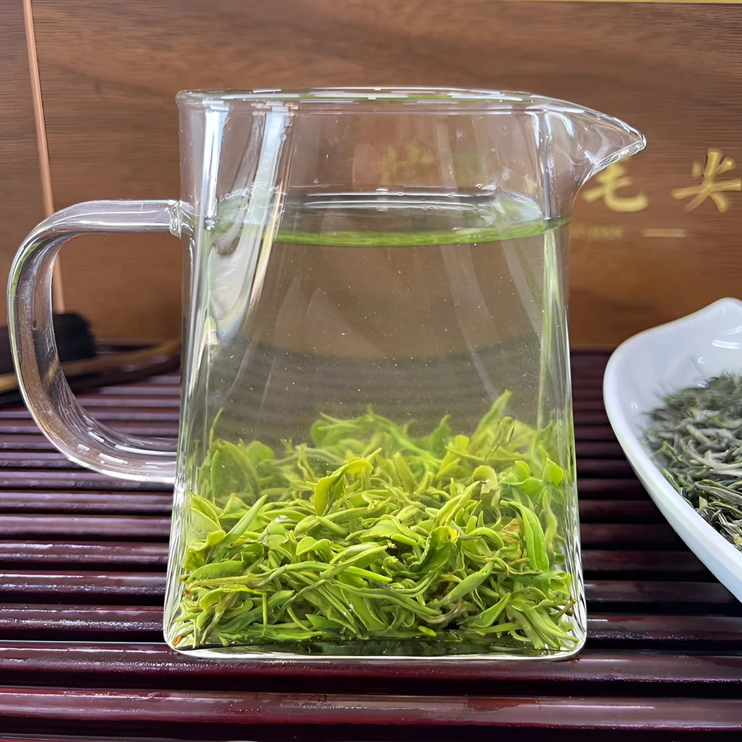 明前篓头信阳毛尖2025新茶春茶清香鲜爽回甘毛尖茶叶老旱茶