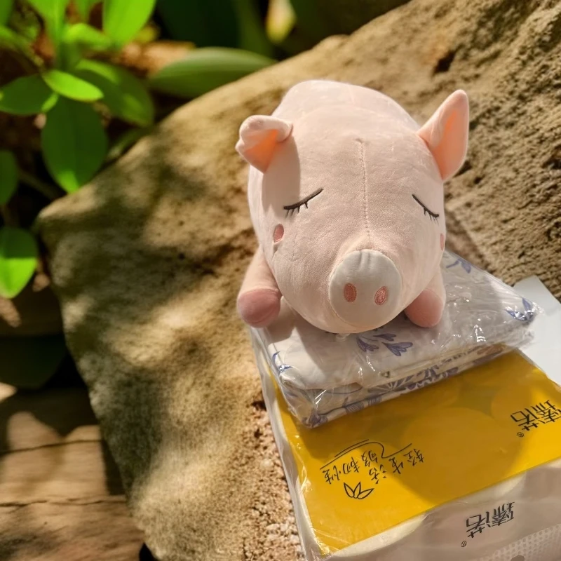 靠枕靠垫家里必备