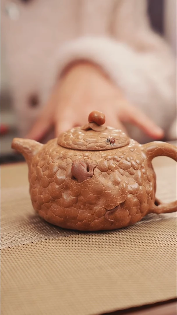 原矿壁虎供春堂原矿31