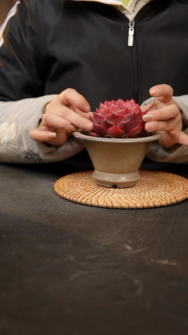 【闪购商品】瓷片泥泥手工花盆口