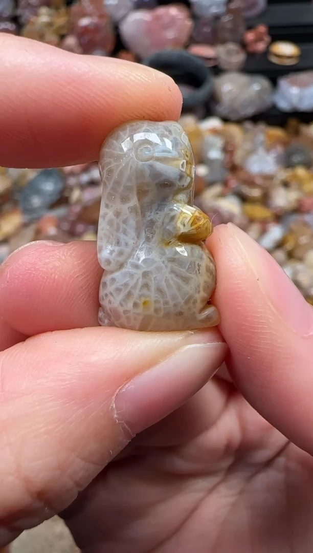 颈饰未镶嵌硅化珊瑚（珊瑚玉）210