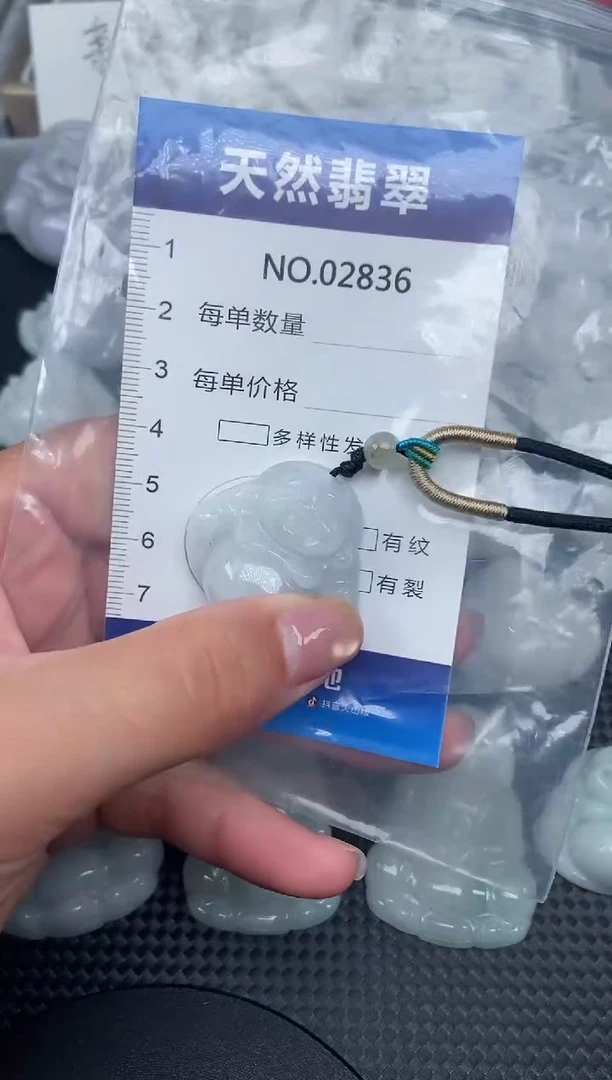 颈饰未镶嵌翡翠纯天然A货翡翠2836