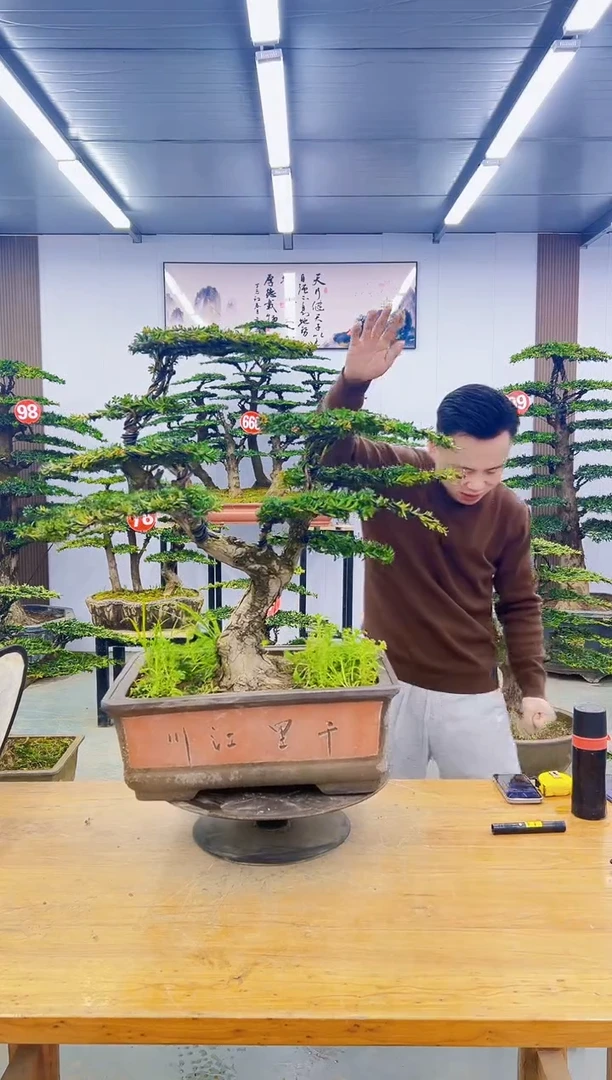 无花朵000000000000