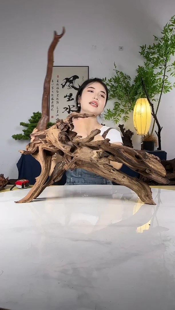 丘*进拍这个定向编号55