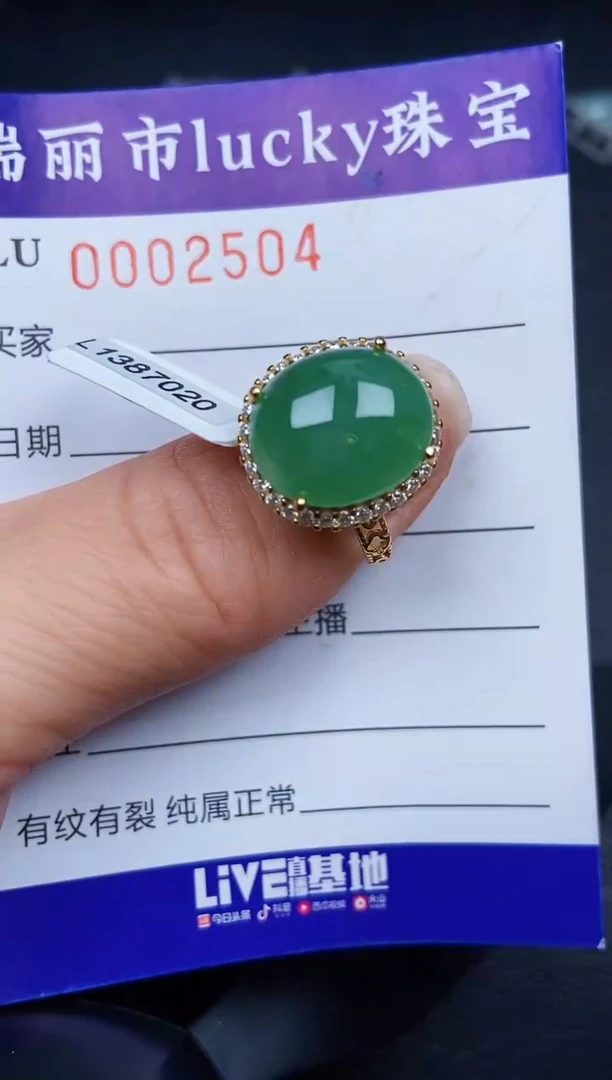 翡翠银S925镶嵌颈饰2504