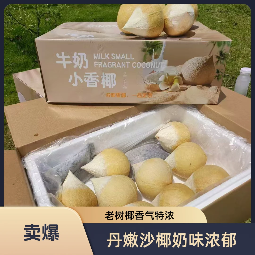 丹嫩沙多核心水果产区椰皇老树椰奶香浓郁含天然电解质水椰子新鲜