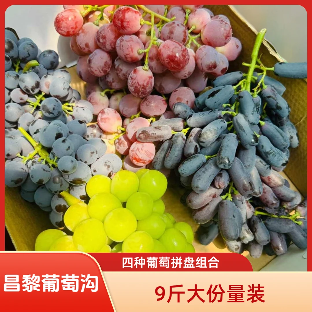 顺丰昌黎葡萄沟玫光玫瑰玫瑰香美人指蓝莓葡萄4种拼盘9斤装水果