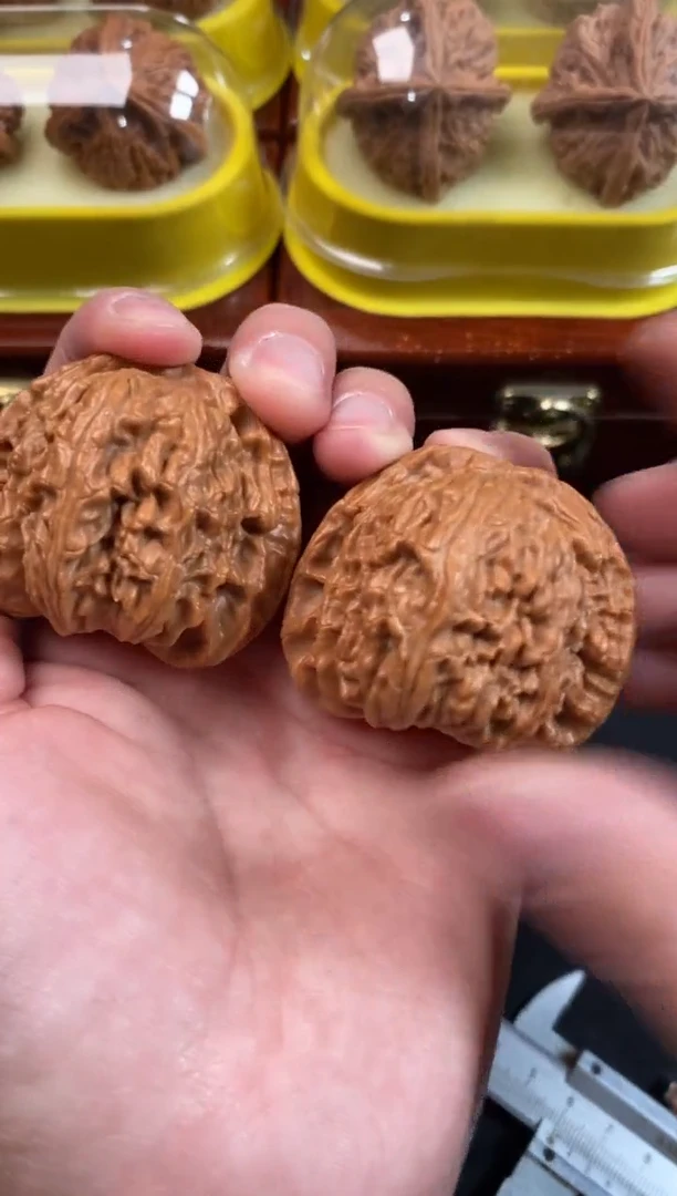 把件文玩核桃白狮子42尺A675