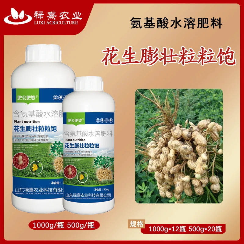花生膨壮粒粒饱满绿叶壮棵花生膨大籽粒饱满提高产量增产叶面肥