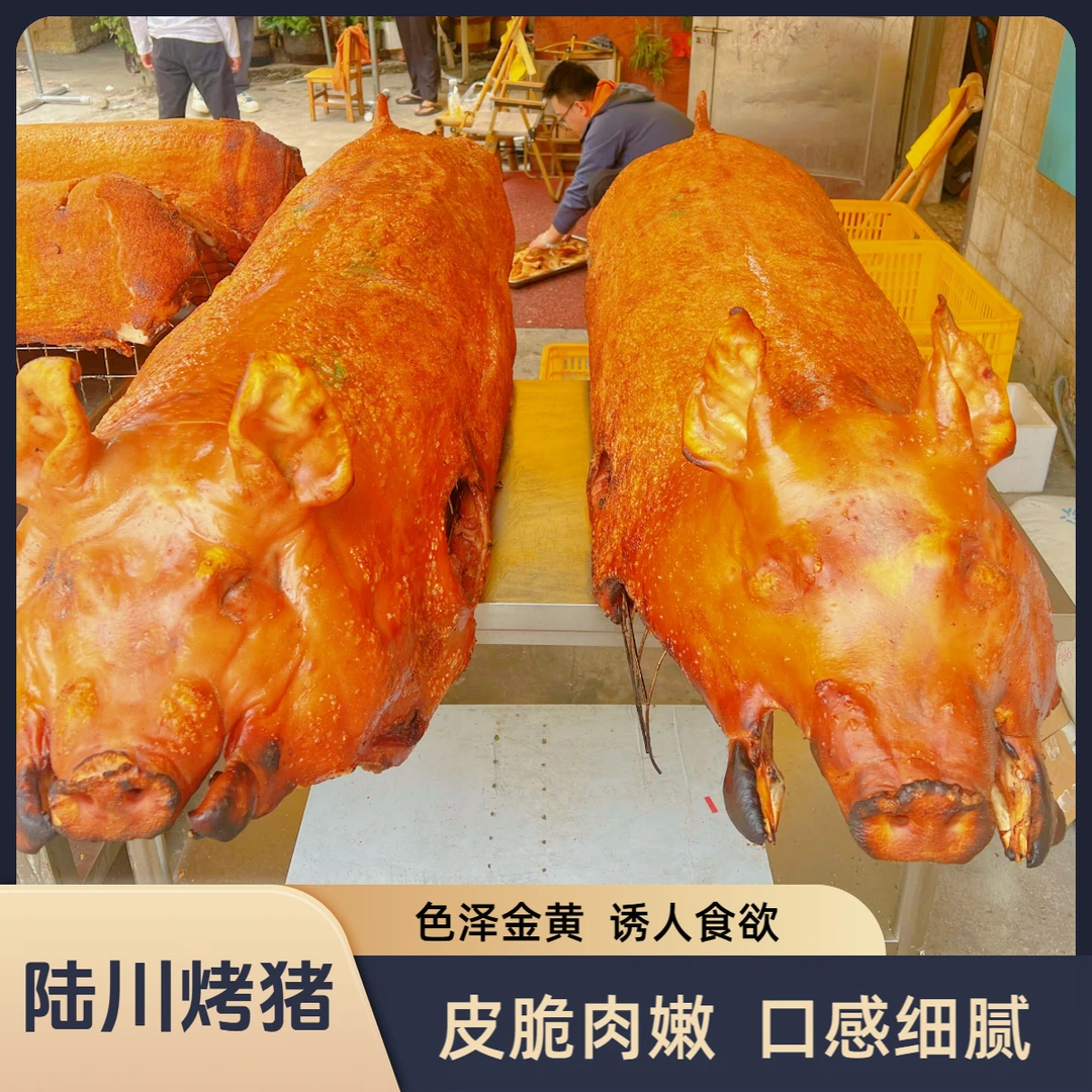陆川烤土猪买1斤送1斤到手两斤脆皮金黄整只烤猪加热即食抽真空发顺丰