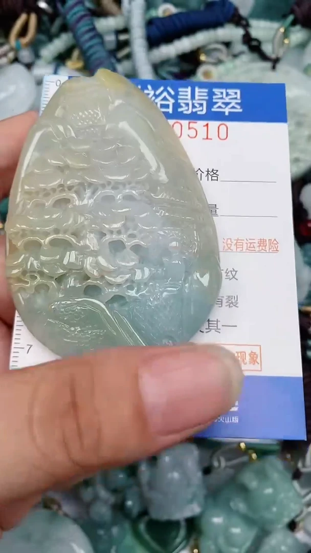 翡翠未镶嵌颈饰...0000510