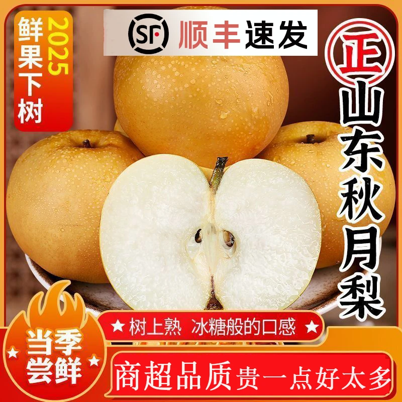 正宗烟台秋月梨真秋月梨新鲜现摘当季水果皮薄脆甜多汁梨子一整箱