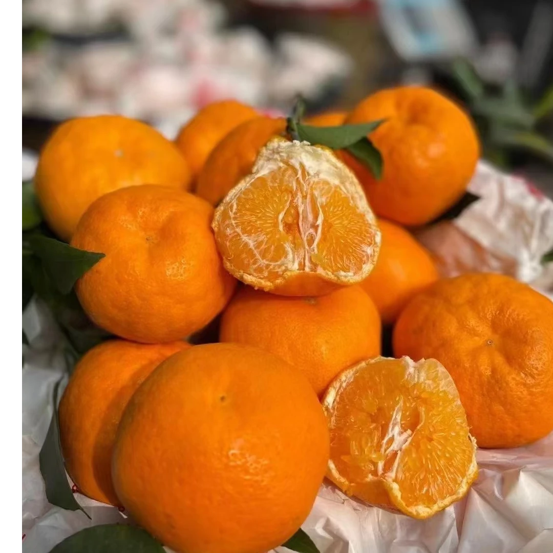 【小时达】耙耙柑/3斤四川省