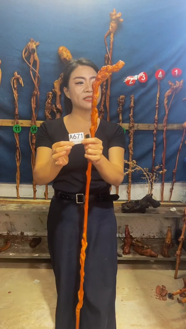 黑果木樵****峰黑果木A671