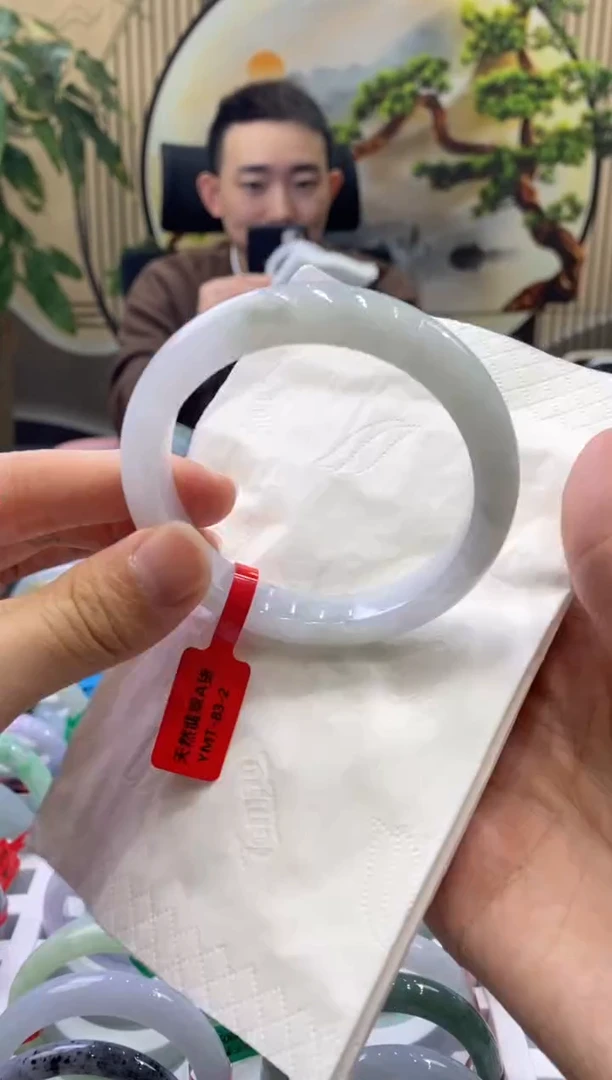 未镶嵌手镯翡翠6729