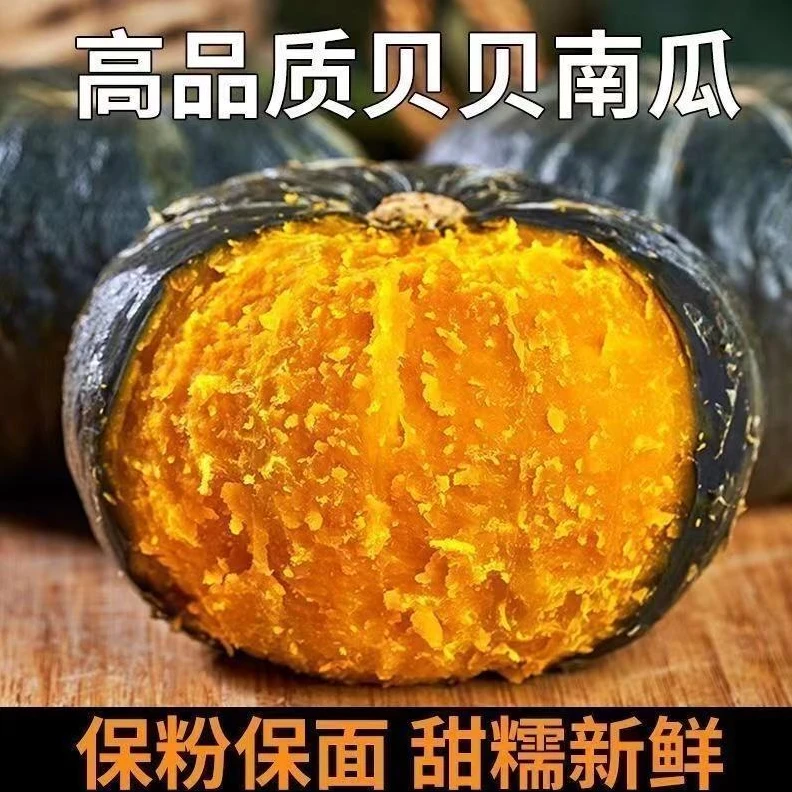 Y 精选正宗贝贝南瓜软糯香甜宝宝蔬菜辅食板栗味净重4.5斤装