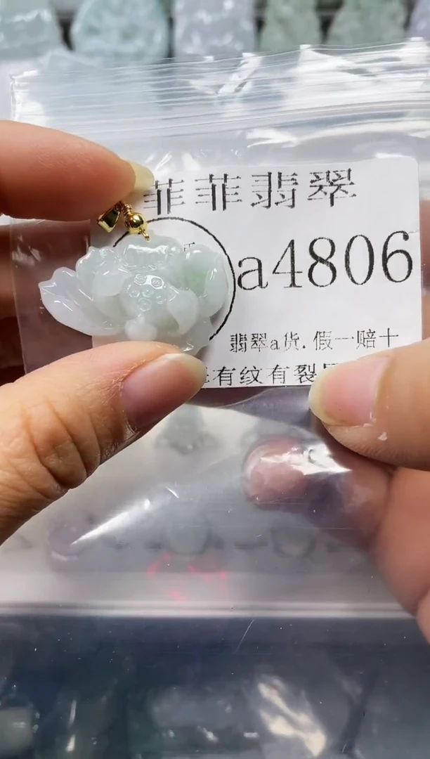 【闪购商品】翡翠颈饰未镶嵌闪购4806