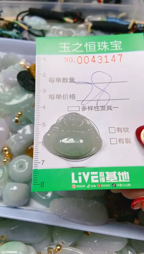 【闪购商品】翡翠颈饰未镶嵌闪购0043147