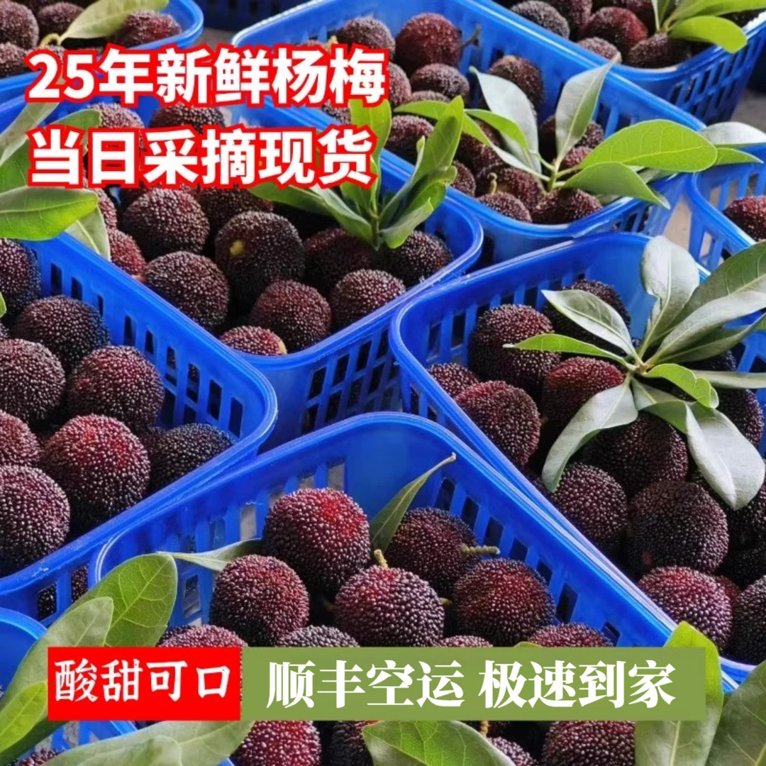 顺丰&京东空运 云南高山杨梅酸甜可口现摘孕妇新鲜水果非东魁杨梅