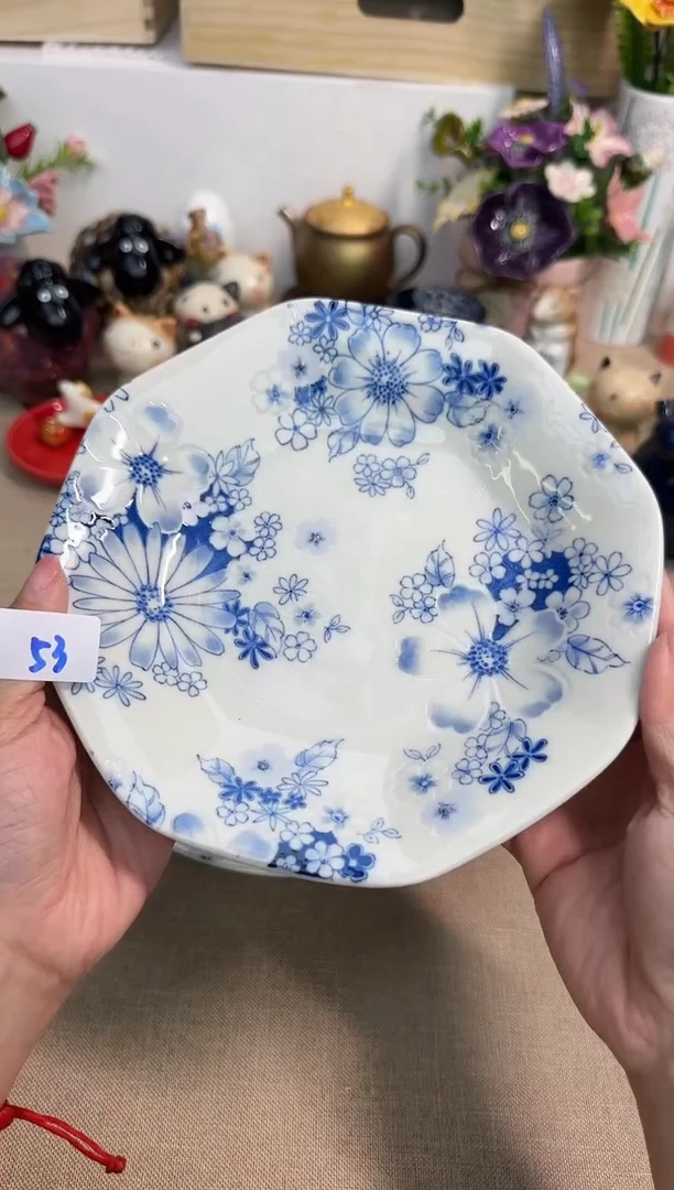 瓷片辰辰家的瓷器真好看