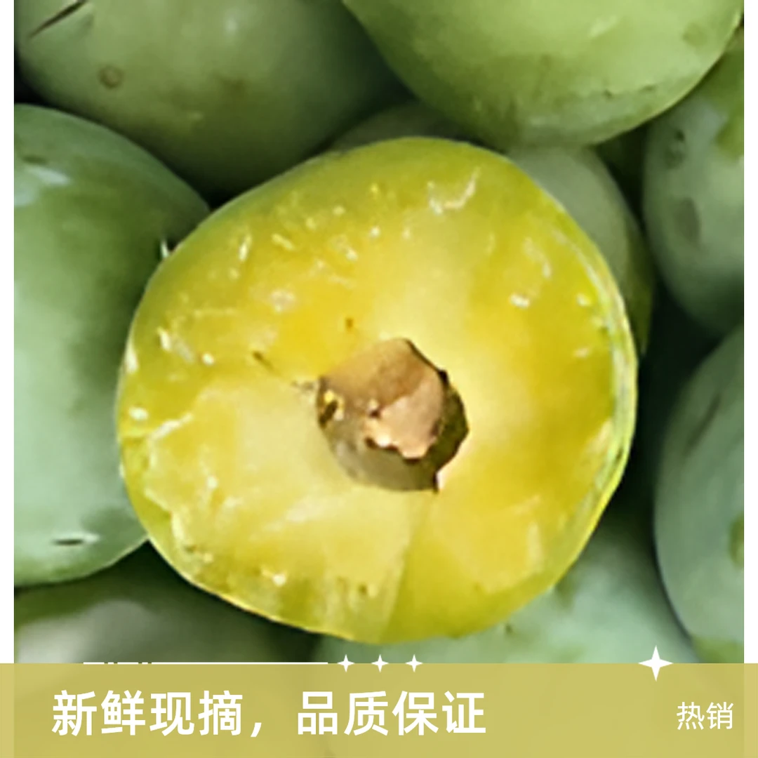 正宗四川云南特大果青脆李脱骨冰糖李新鲜水果当季可食